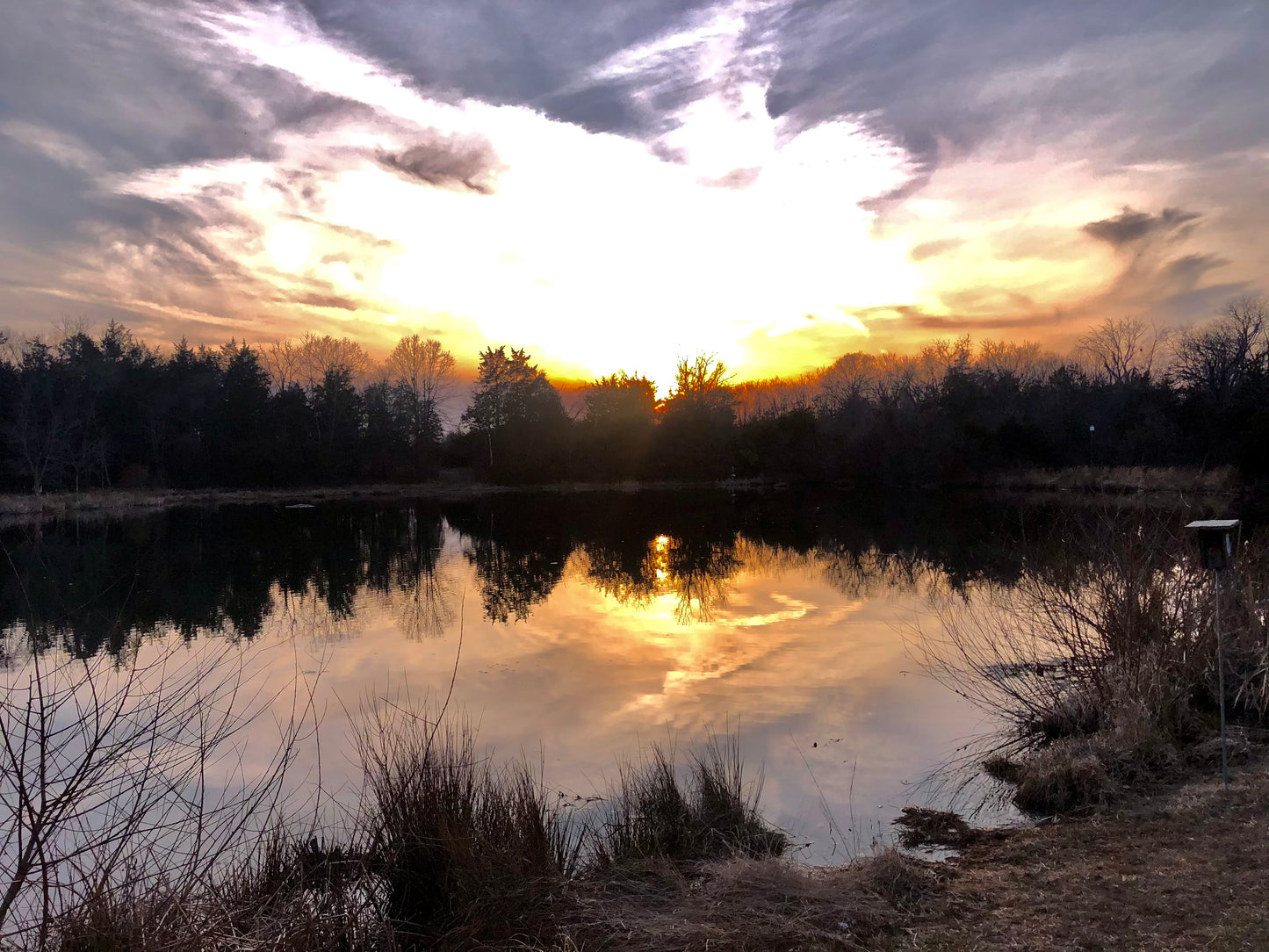 Angelic Sunset - Ashburn, VA