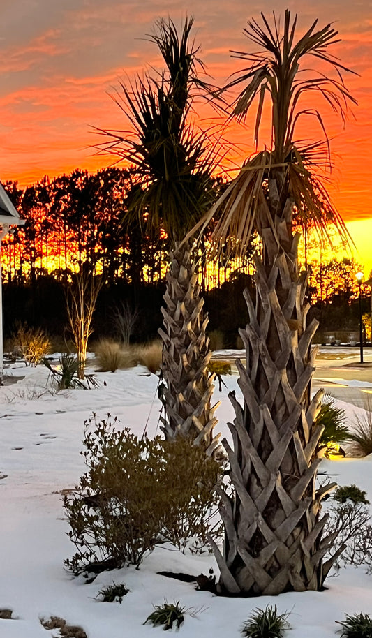 Sunset Snow Beauty