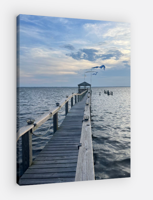 Duck Dream, OBX